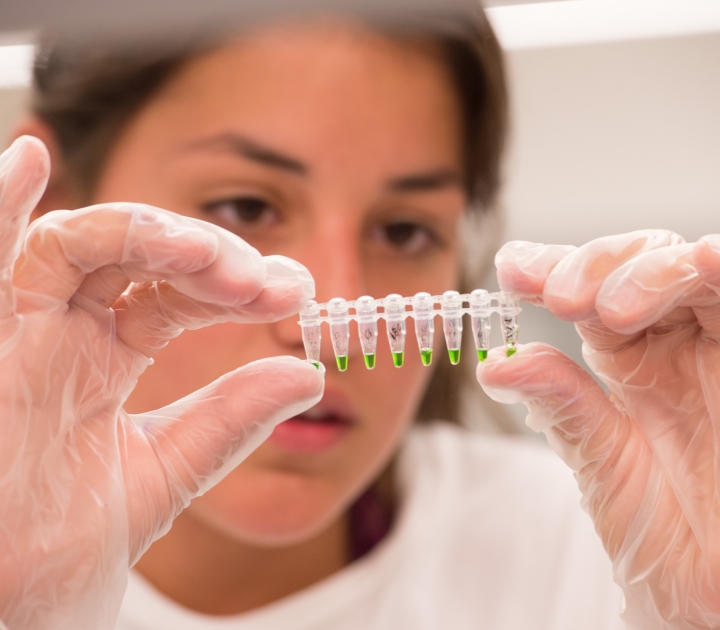 Student holding test tube