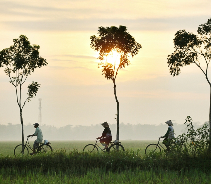 3 people riding bikes in landscape